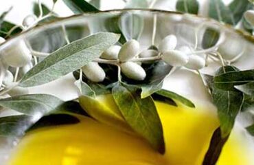 Zeytin Bir Meyvedir, Zeytinyağı Bir Meyve Suyudur